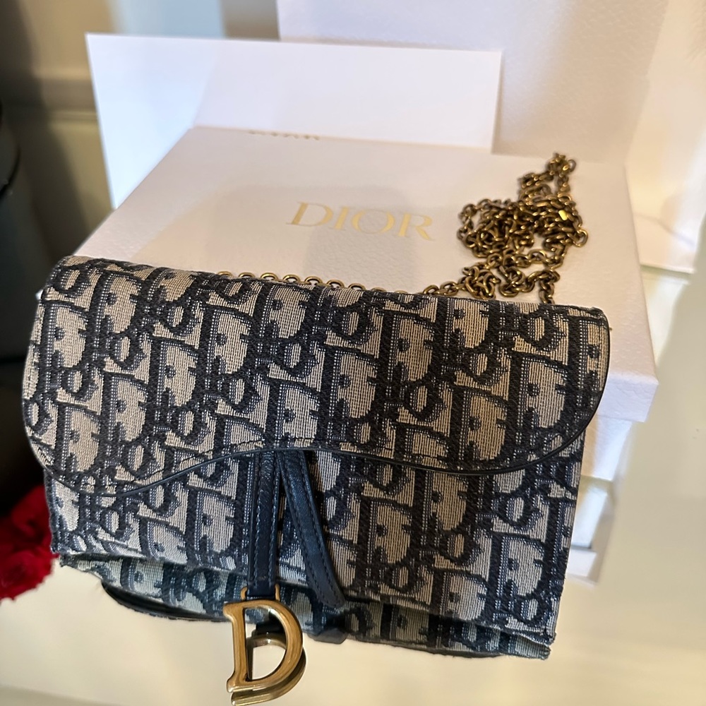 Dior Saddle Long Wallet on Chain